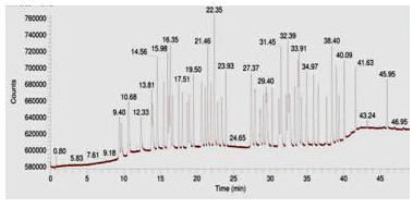 18����luck��(�й�)-�ٷ���վ