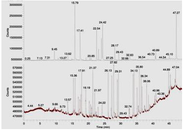 18����luck��(�й�)-�ٷ���վ