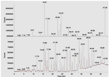 18����luck��(�й�)-�ٷ���վ