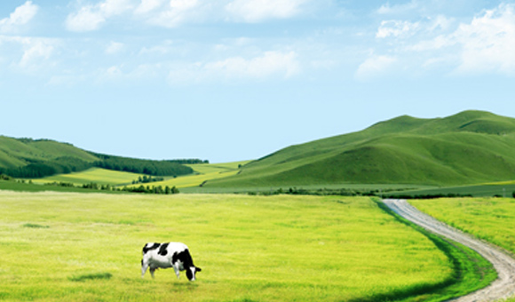 18����luck��(�й�)-�ٷ���վ