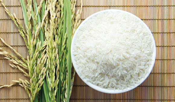 18����luck��(�й�)-�ٷ���վ