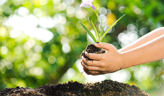 18����luck��(�й�)-�ٷ���վ