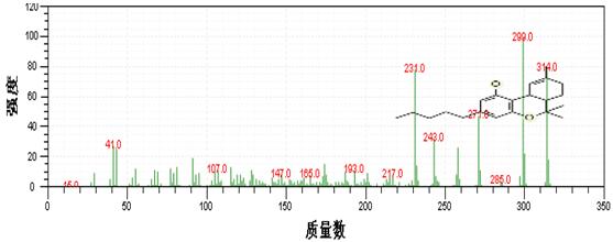 18����luck��(�й�)-�ٷ���վ