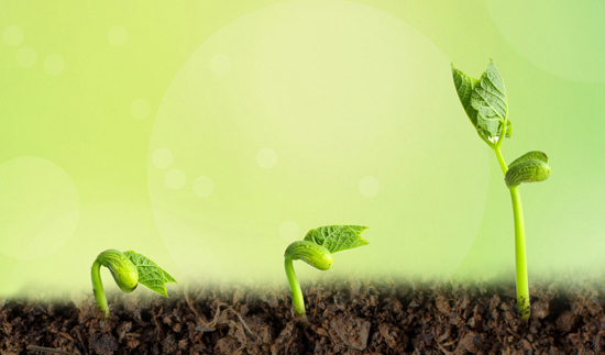 18����luck��(�й�)-�ٷ���վ