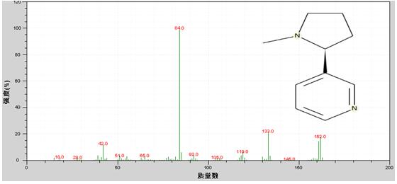 18����luck��(�й�)-�ٷ���վ