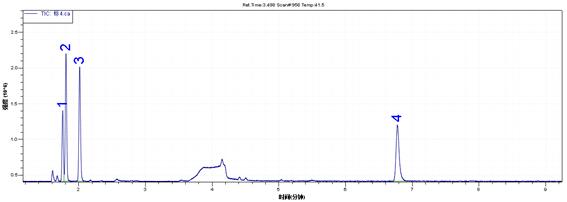 18����luck��(�й�)-�ٷ���վ