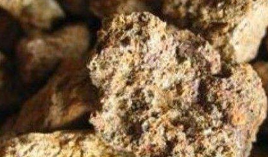 18����luck��(�й�)-�ٷ���վ