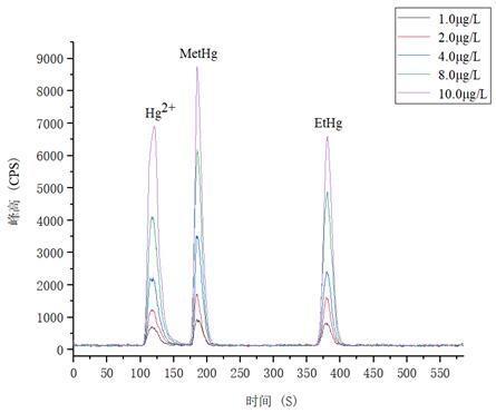 18����luck��(�й�)-�ٷ���վ