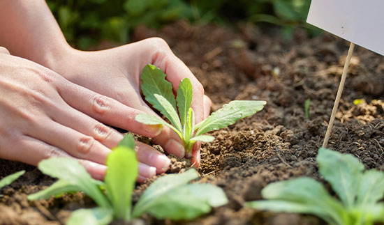 18����luck��(�й�)-�ٷ���վ